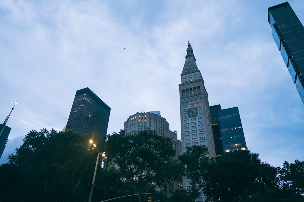 Stone clock tower rising between dark glass office buildings, with a canopy of trees and a lit street lamp in the foreground and a single bird in the sky.